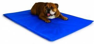 Summer Dog Products - Cooling Mat