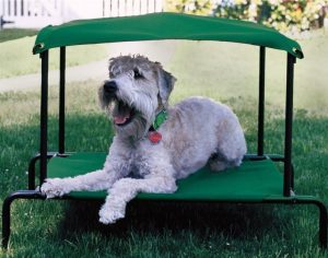 Summer Dog Products - Breezy Pet Bed