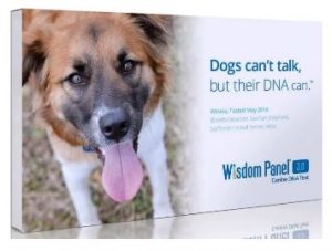 You'll learn so much about your canine with this popular product