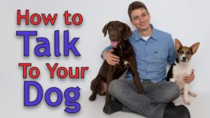 How to talk to you dog is a key part of training your dog