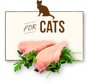 merrick pet food for cats