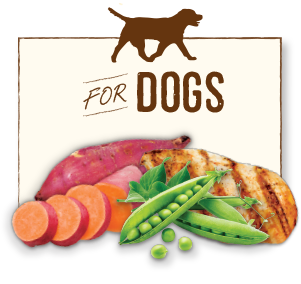 merrick pet food for dogs