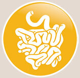 healthy digestive tract icon