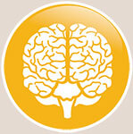 brain function icon