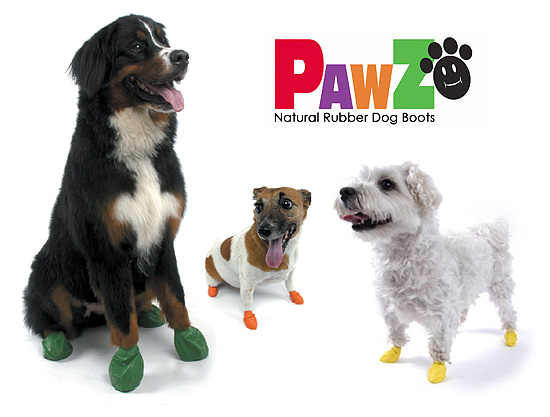 Large black white and brown dog wearing green pawz boots, a small jack russell terrier with orange pawz boots, and a small white dog with yellow pawz boots all happy with their tongues out