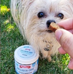 Collagen Care dog treat fed to fluffy dog. 