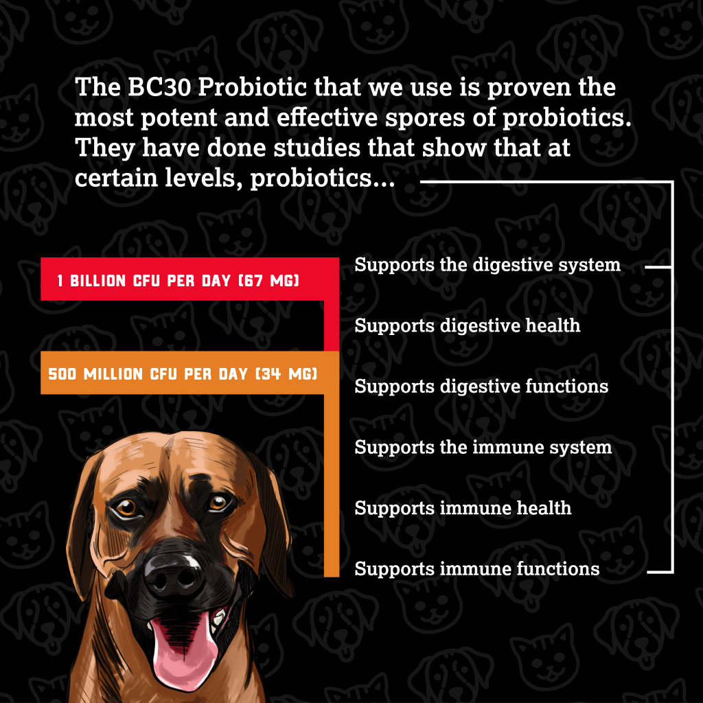 BC30 Probiotic info for Boss Dog Brand