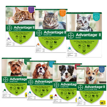 Bayer Advantage II for dogs and cats