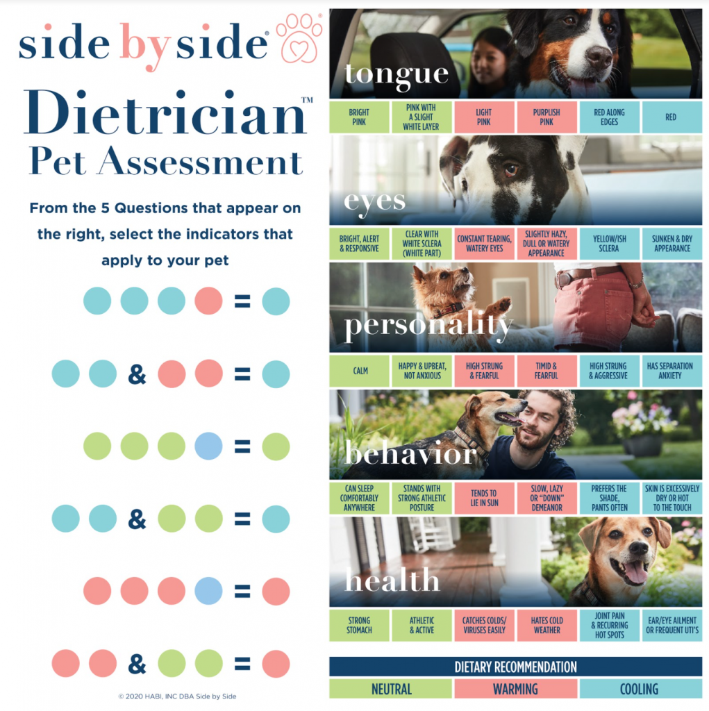 Side by Side Dietrician Pet Assessment