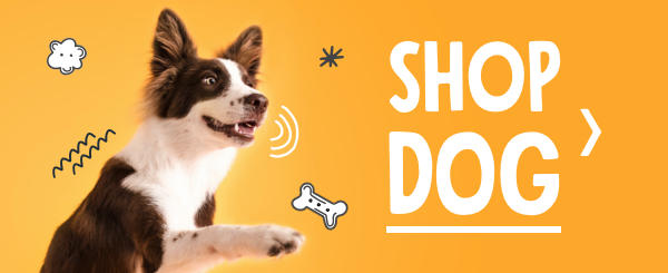 shop dog products on petflow.com