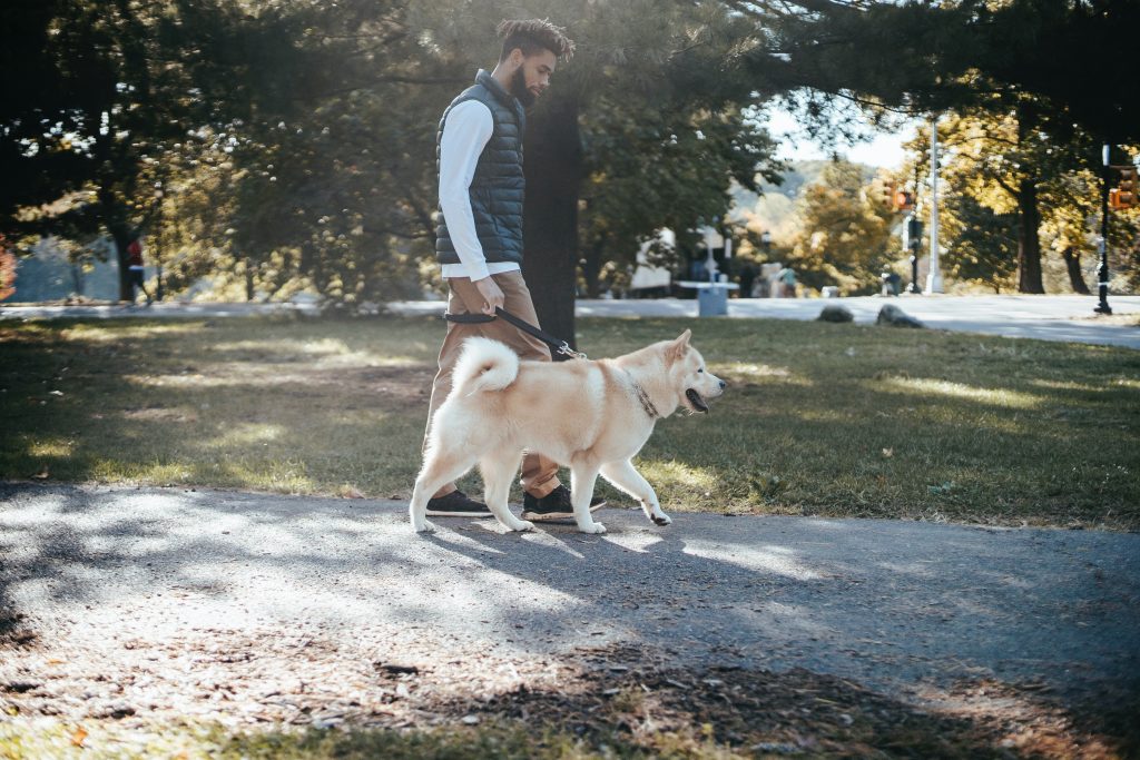 Owner walks dog through park